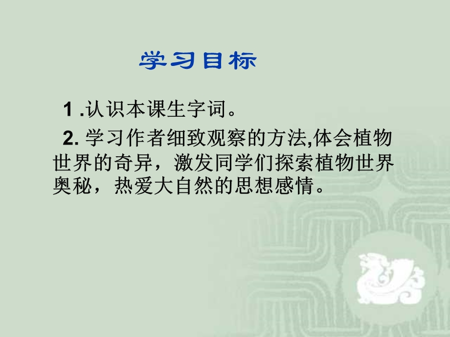 《奇异的植物世界》课件（语文S版三年级下册课件）.ppt_第2页