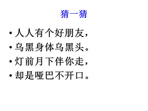 《我的影子》课件.ppt