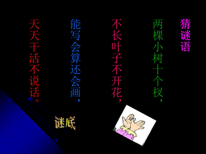 《胖乎乎的小手》课件【24页】(2).ppt