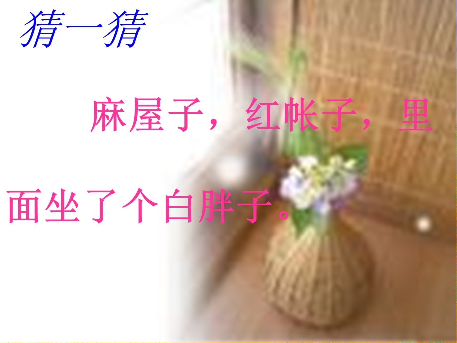 《小松鼠找花生》教学课件.ppt_第1页