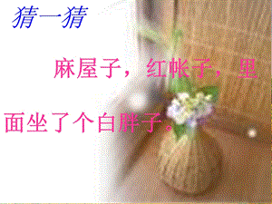 《小松鼠找花生》教学课件.ppt