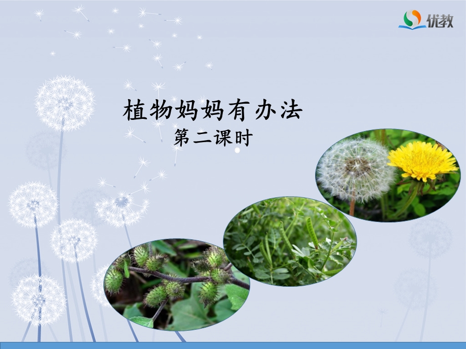 《植物妈妈有办法》名师课件（第二课时）.ppt_第1页