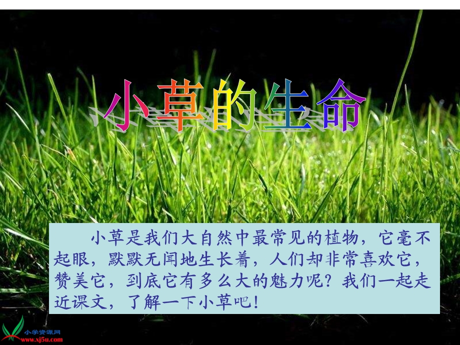 《小草》PPT课件.ppt_第2页