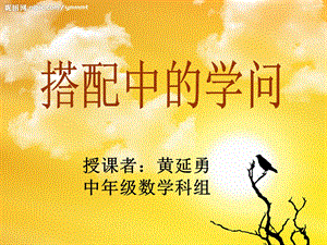 《搭配中的学问》.ppt