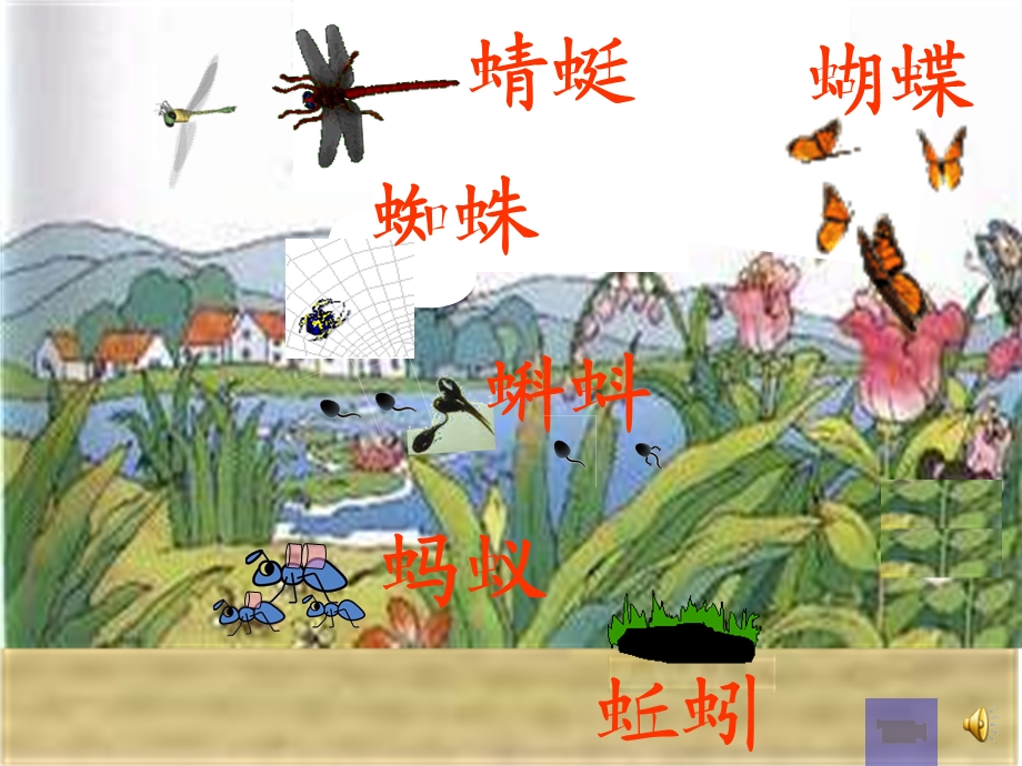 《识字4》课件 (2).ppt_第2页