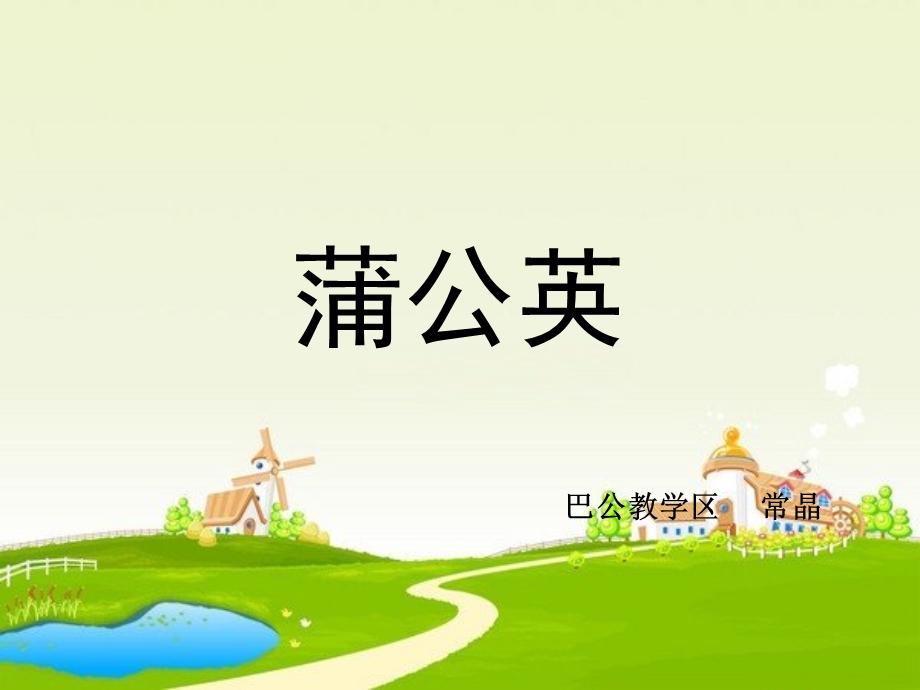 《蒲公英》PPT课件.ppt_第1页