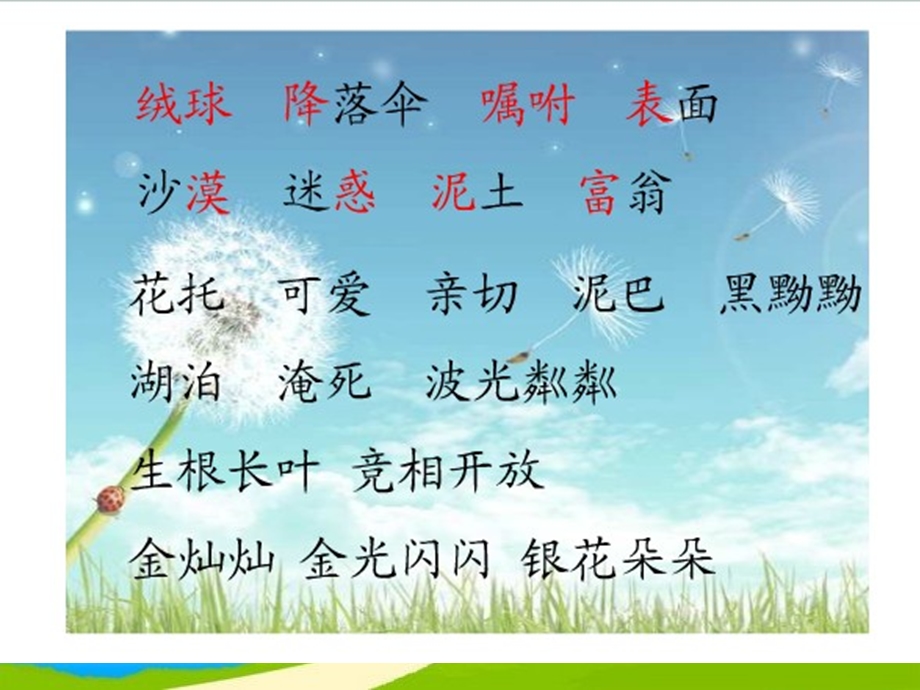 《蒲公英》PPT课件.ppt_第3页