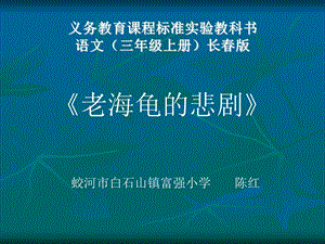 《老海龟的悲剧》课件演示.ppt