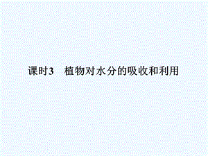 《金版新学案》2011高三生物一轮 课时3 植物对水分的吸收和利用课件 必修3.ppt