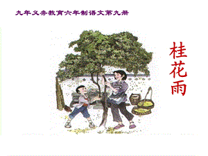 《桂花雨》课件【13页】.ppt