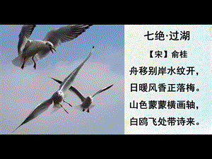 《老人与海鸥》(完美版).ppt