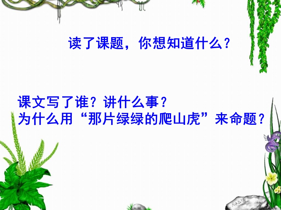 《那片绿绿的爬山虎》教学课件2.ppt_第2页