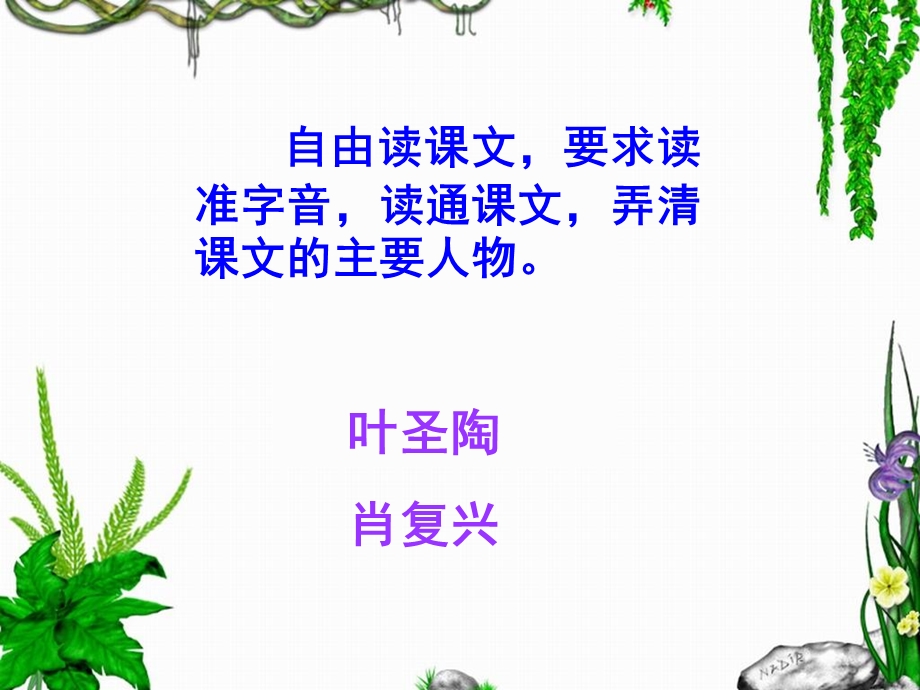 《那片绿绿的爬山虎》教学课件2.ppt_第3页