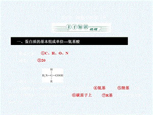 《金版》2011高三生物总复习 第二章 2节细胞中的蛋白质课件 苏教版.ppt