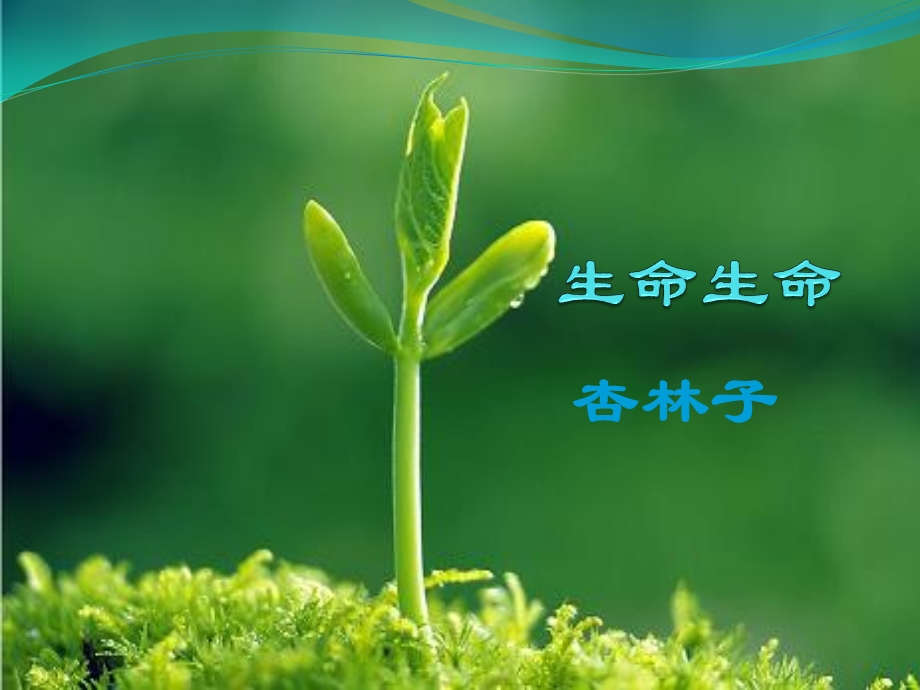 《生命生命》课件PPT.ppt_第1页