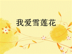 《我爱雪莲花》课件1.ppt