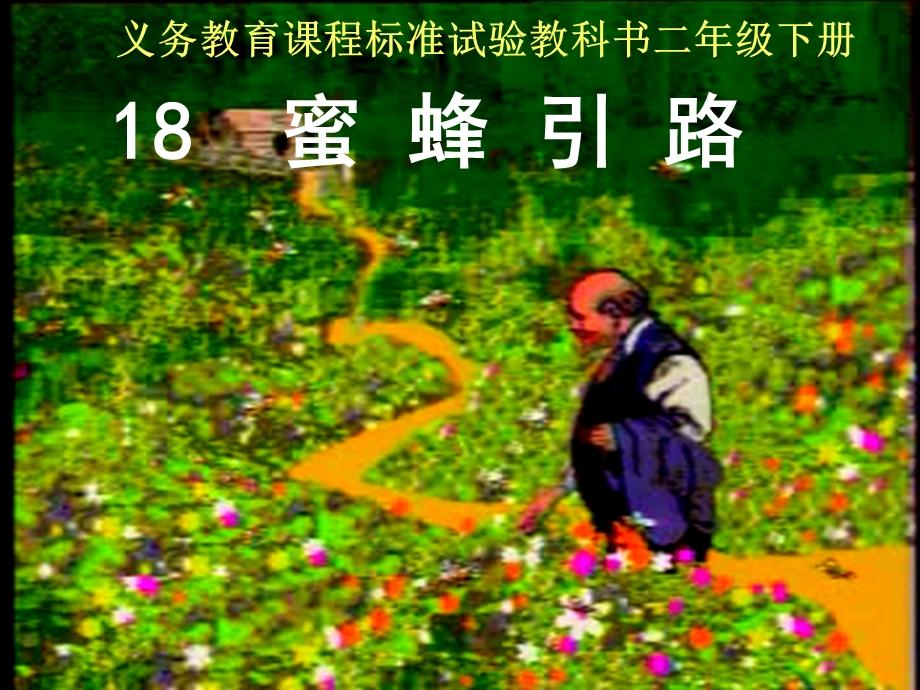 《蜜蜂引路》课件2.ppt_第1页