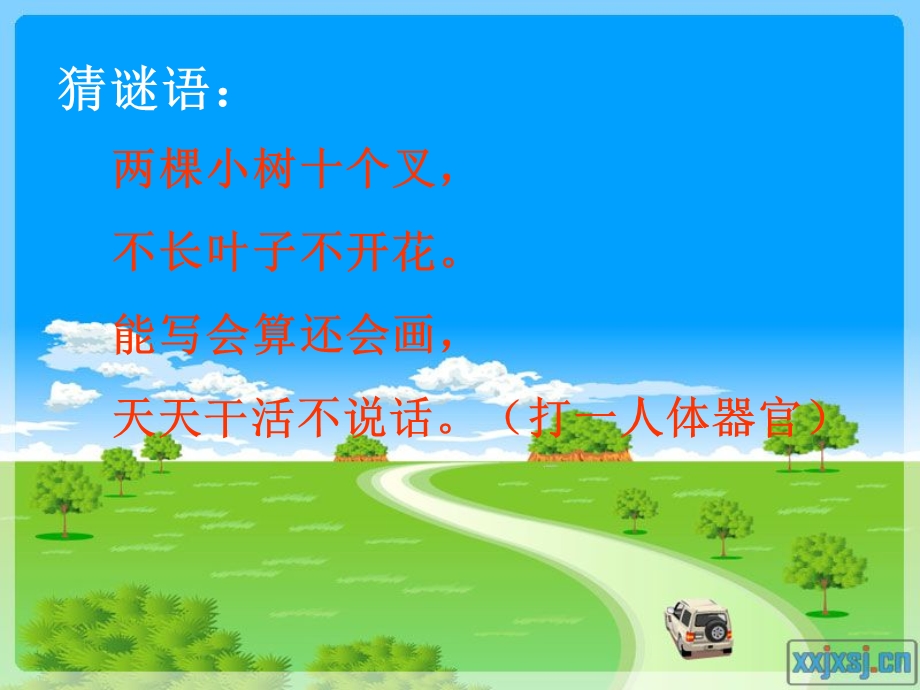 《植树问题1》公开课-马海萍.ppt_第2页