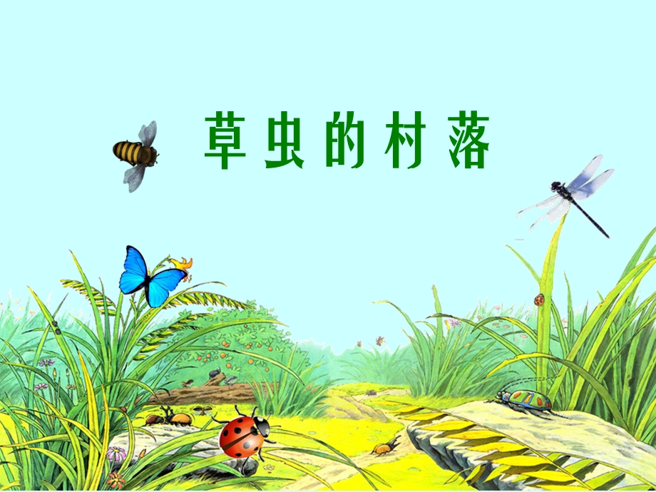 《草虫的村落》2015.ppt_第1页