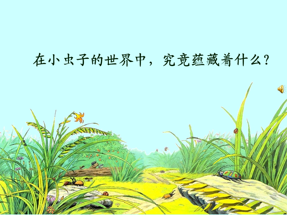 《草虫的村落》2015.ppt_第3页