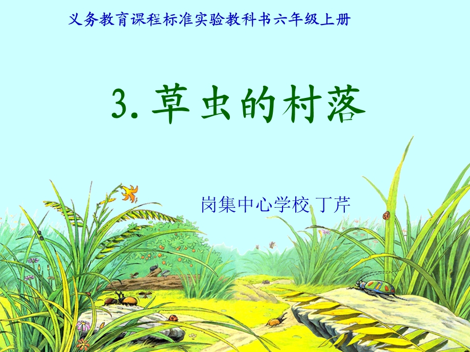 《草虫的村落》课件1.ppt_第1页