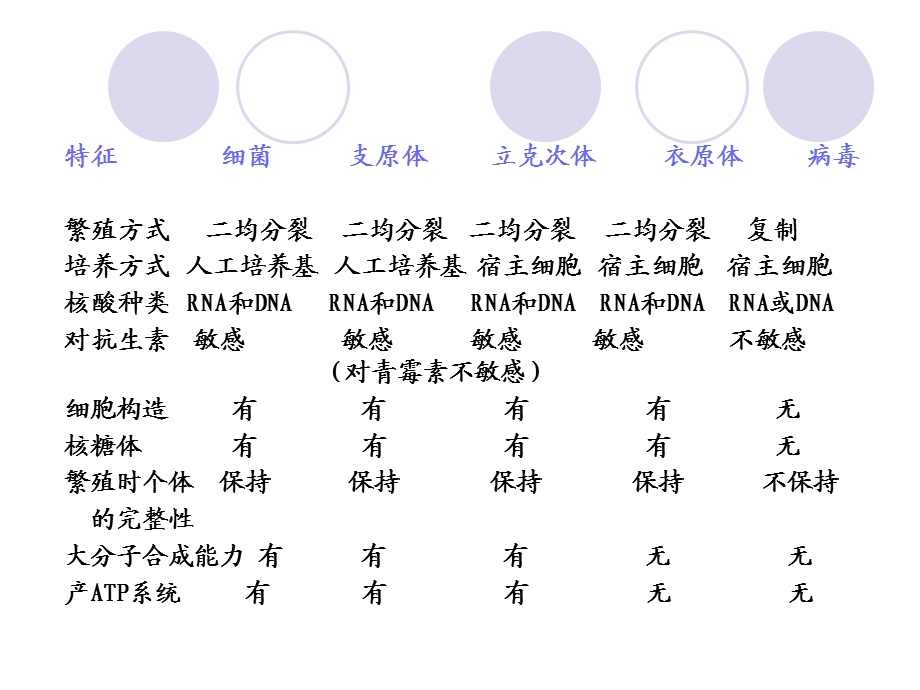 第四节支原体立克次氏体衣原体.ppt_第2页