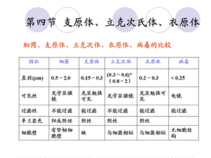 第四节支原体立克次氏体衣原体.ppt