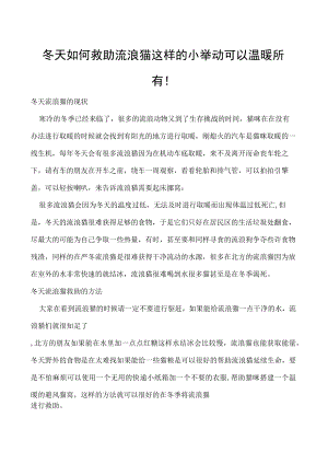 冬天如何救助流浪猫 这样的小举动可以温暖所有！.docx