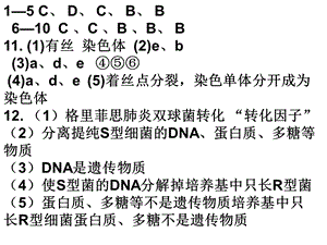 基因指导蛋白质的合成及对形状的控制.ppt