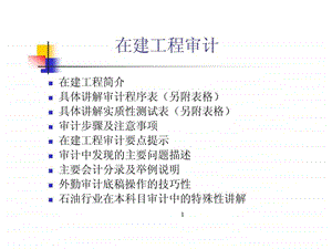 在建工程审计讲义PPT.ppt