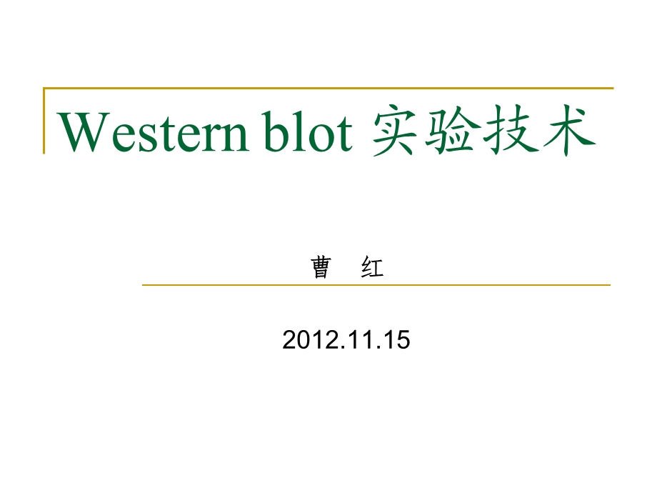 Westernblot实验技术1115.ppt_第1页