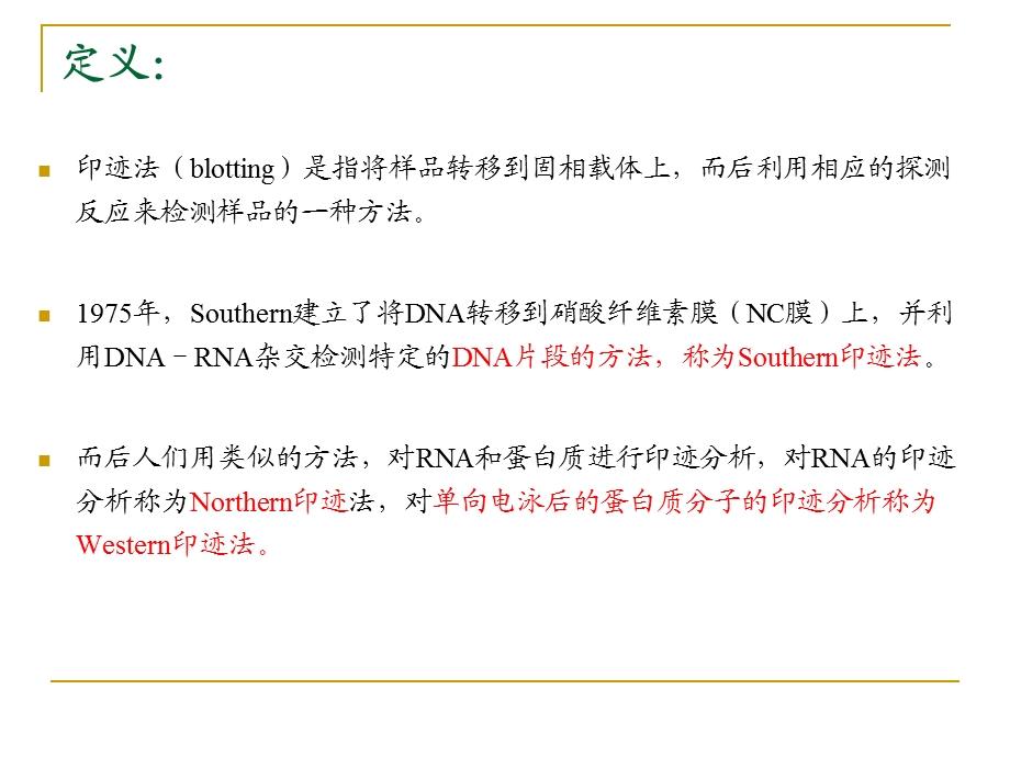 Westernblot实验技术1115.ppt_第2页