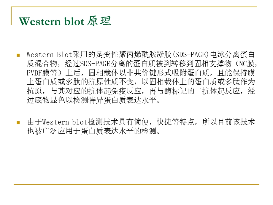 Westernblot实验技术1115.ppt_第3页