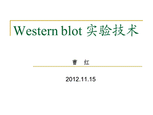 Westernblot实验技术1115.ppt