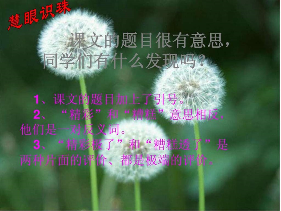 19精彩极了和糟糕透了完美版图文1667893672.ppt.ppt_第3页