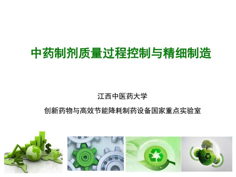 中药制剂质量过程控制与精细制造图文.ppt.ppt_第1页