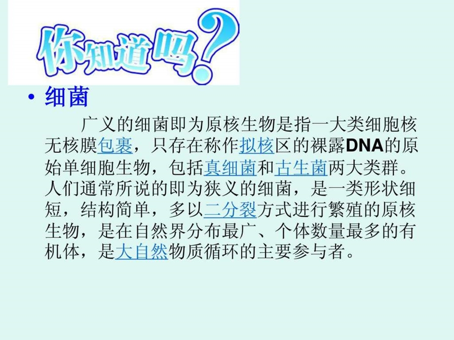 医院感染的常见细菌图文.ppt.ppt_第3页