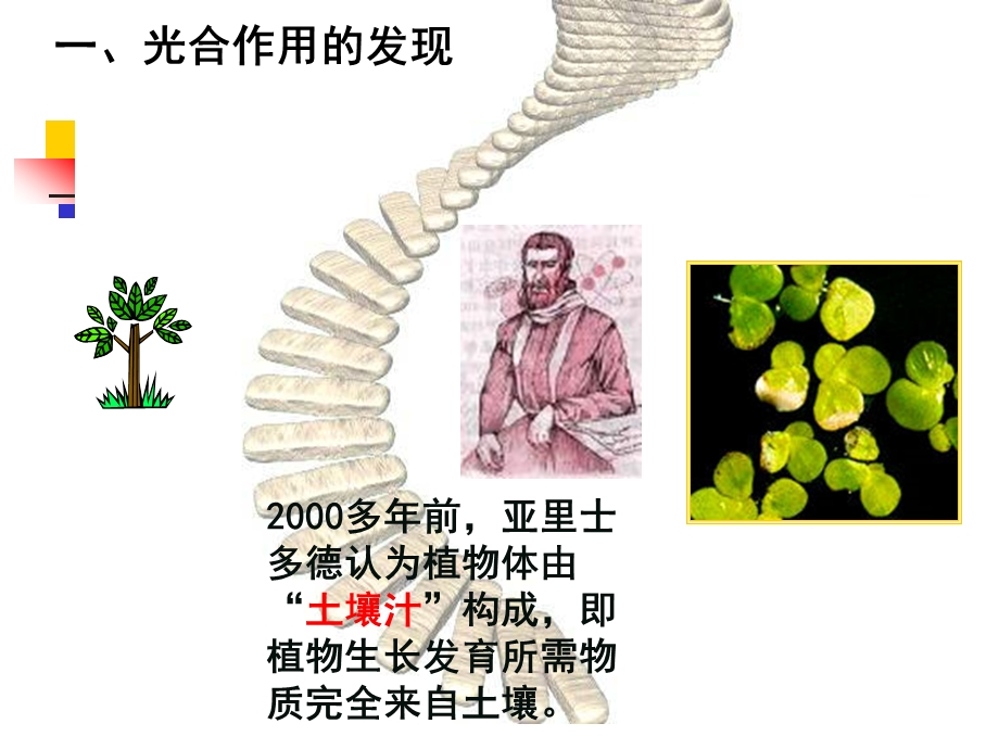 第五章第四节光合作用25ppt人教版精品教育.ppt_第3页