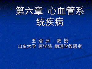 第六章心血管系统.ppt