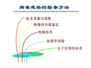 病毒感染的检查方法.ppt