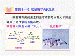 41氨基糖苷类抗生素.ppt