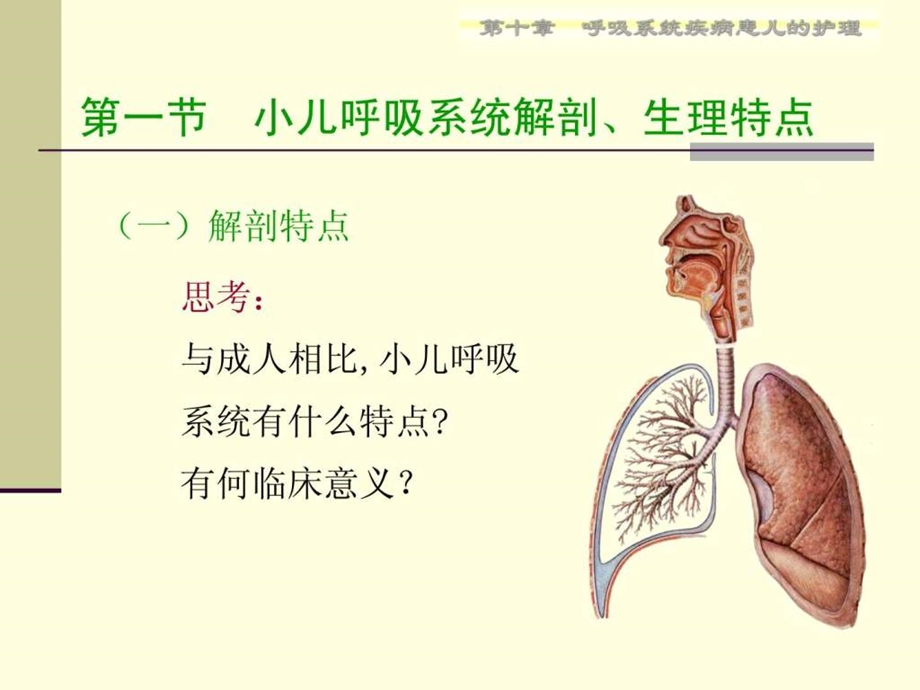 呼吸系统疾病患儿的护理.ppt.ppt_第3页