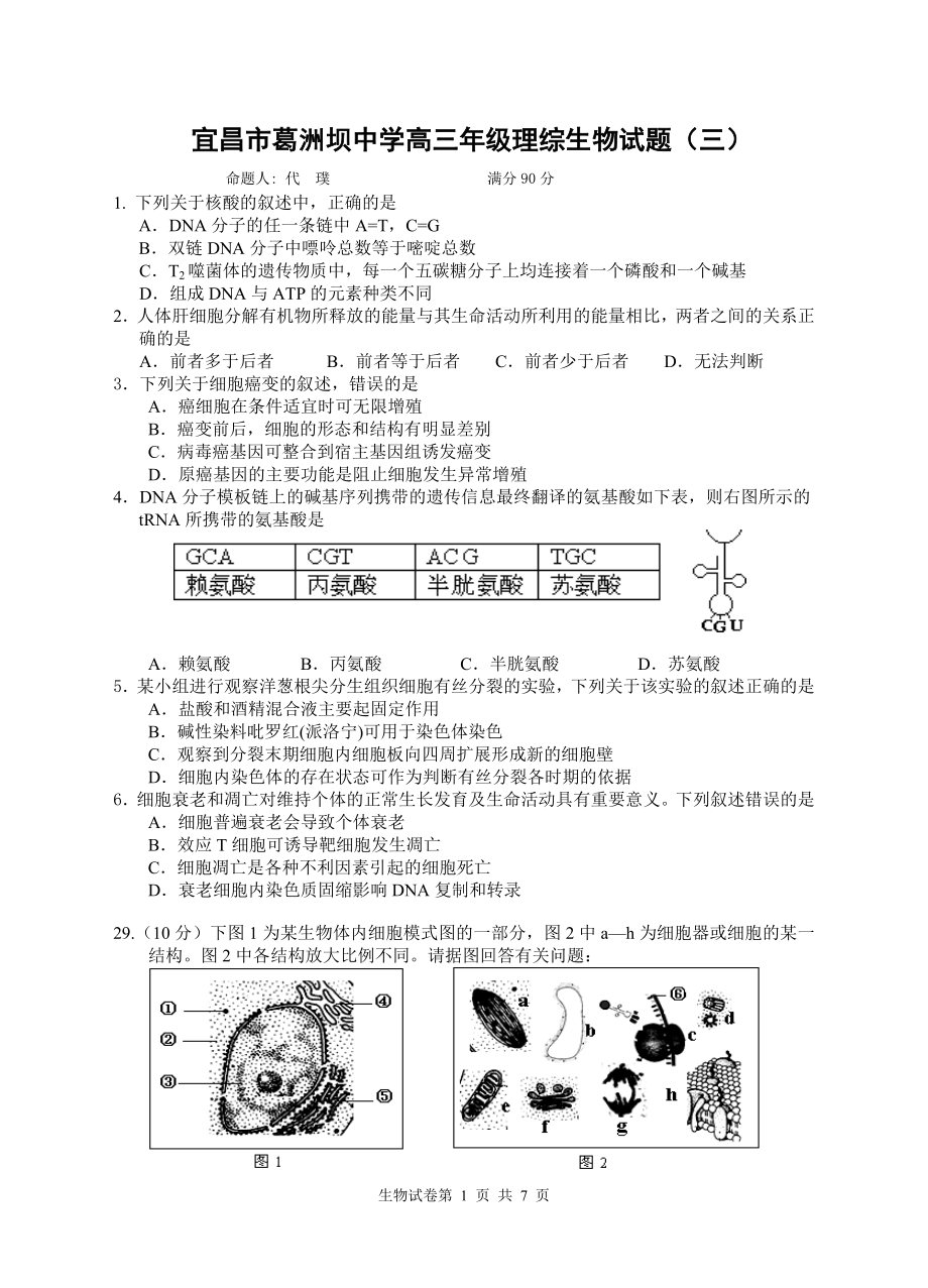 葛洲坝中学高三(生物3)理综.doc_第1页