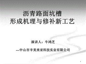 PPT沥青路面坑槽形成机理与修补新工艺.ppt