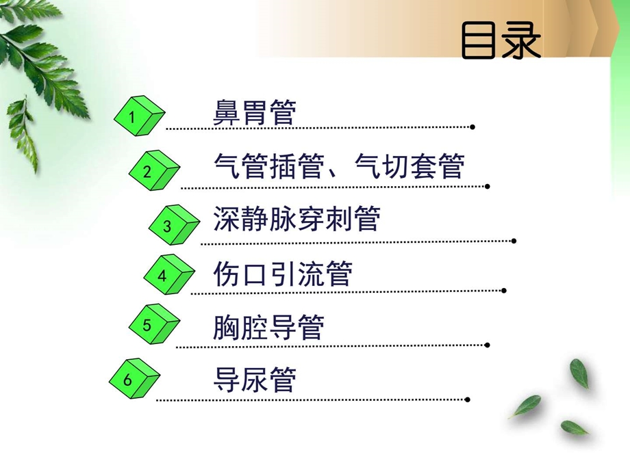 各类导管的护理.ppt_第2页