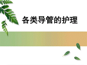 各类导管的护理.ppt