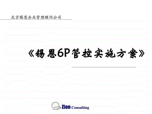 锡恩6P管理控制力实施方案Peter.ppt