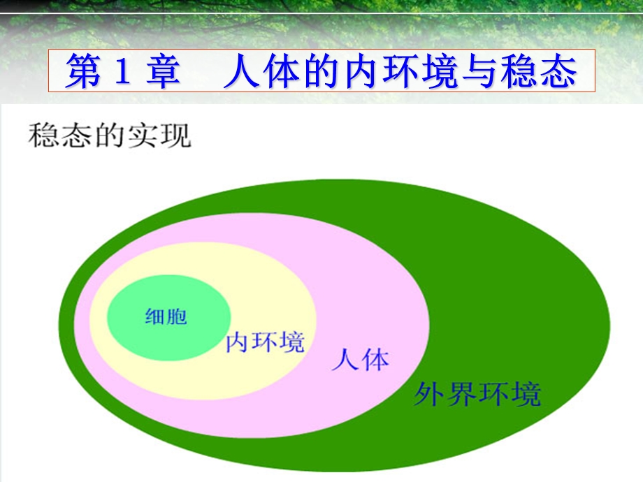 高三查缺补漏复习课.ppt_第3页