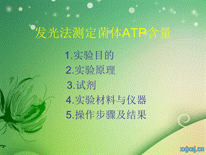 发光法测定菌体ATP含量.ppt