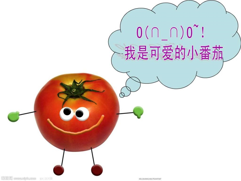 红番茄上课课件.ppt.ppt_第1页